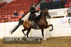 19BUCK_02074 proof