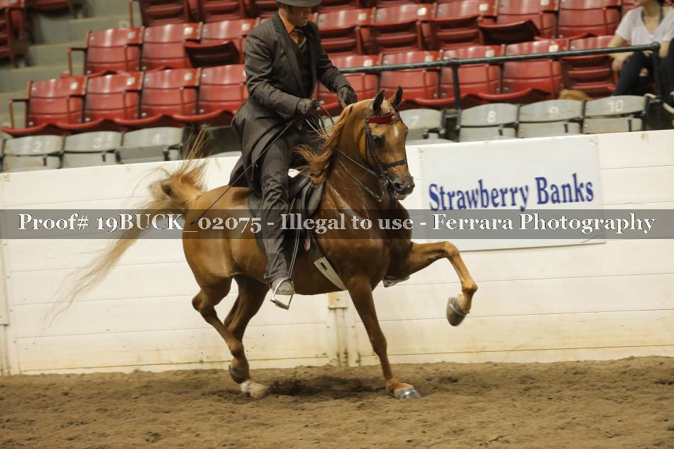 Proof 19BUCK_02075