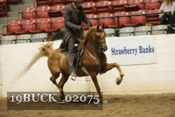 19BUCK_02075 proof