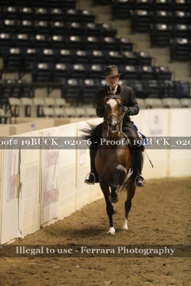 Proof 19BUCK_02076