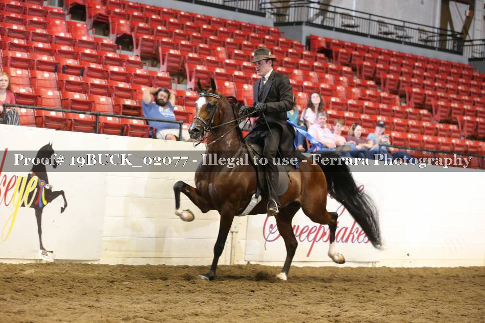 Proof 19BUCK_02077