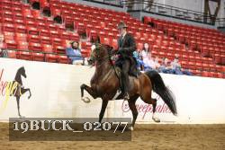 19BUCK_02077 proof