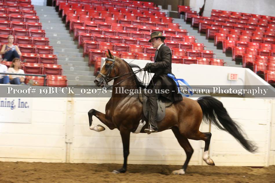 Proof 19BUCK_02078