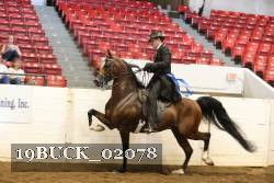 19BUCK_02078 proof