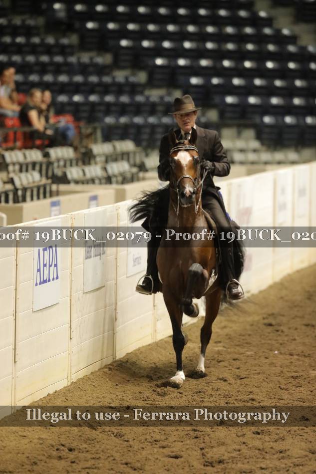 Proof 19BUCK_02079
