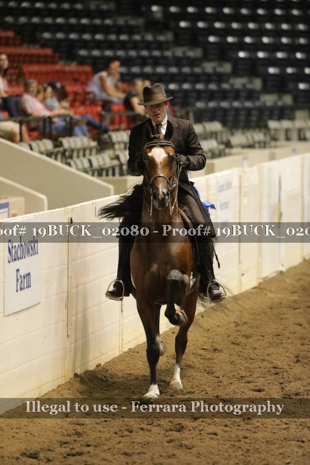 Proof 19BUCK_02080