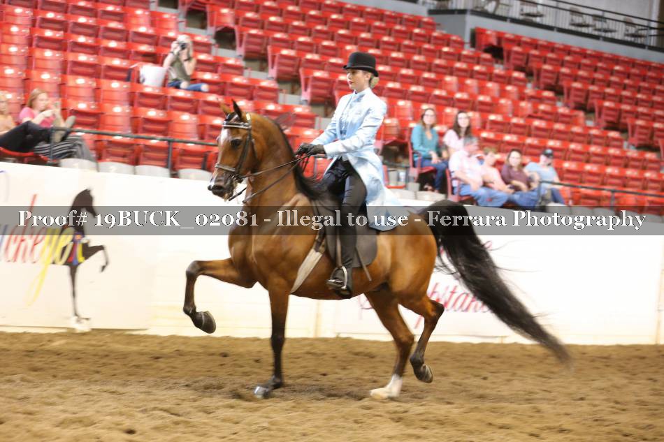Proof 19BUCK_02081