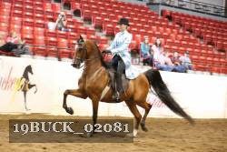 19BUCK_02081 proof