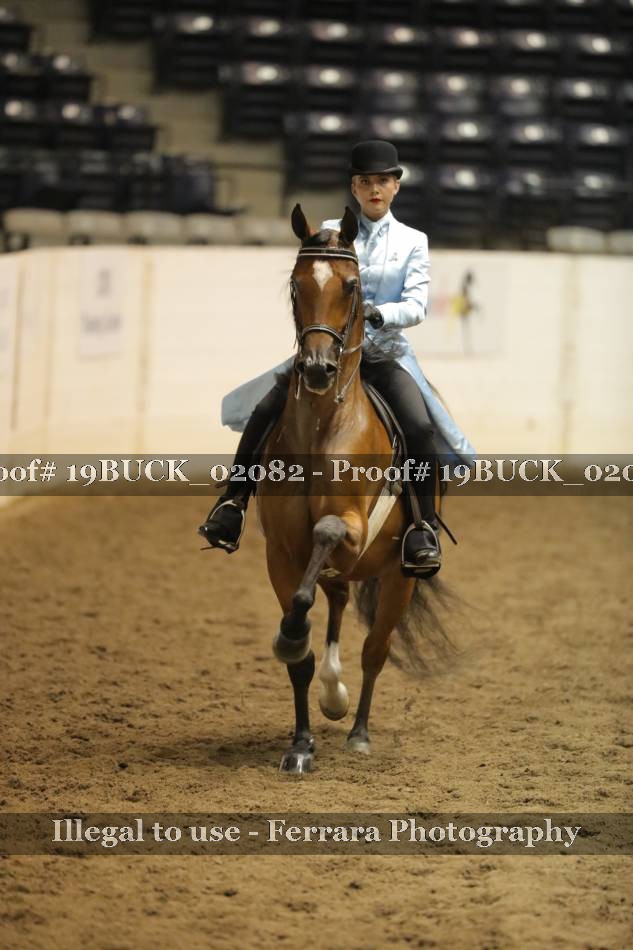 Proof 19BUCK_02082