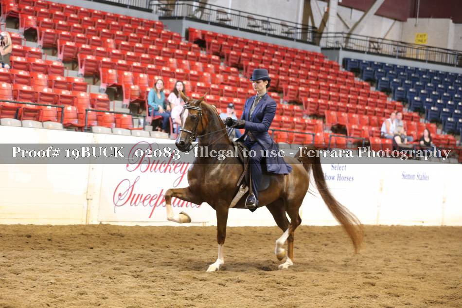Proof 19BUCK_02083