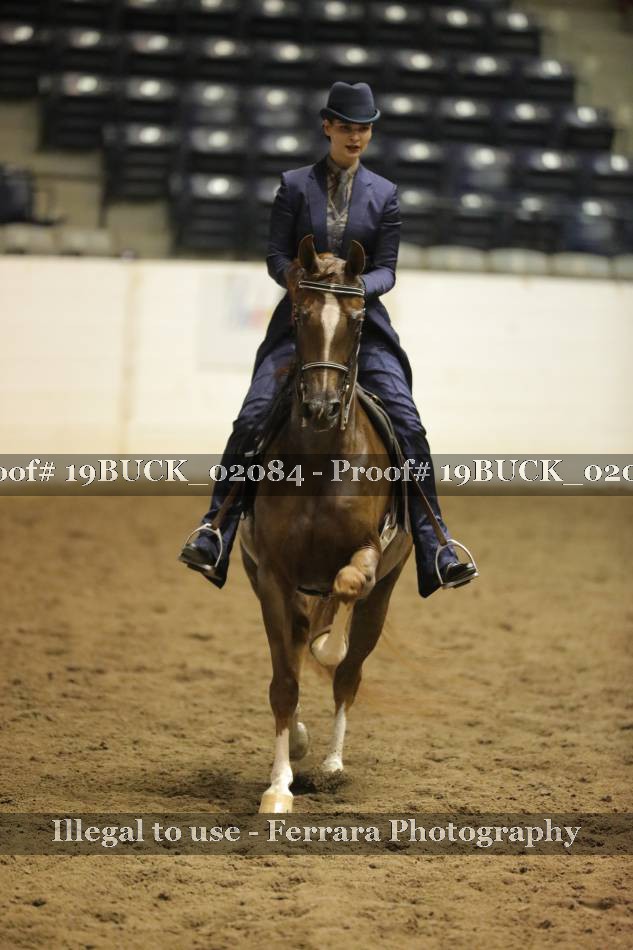 Proof 19BUCK_02084