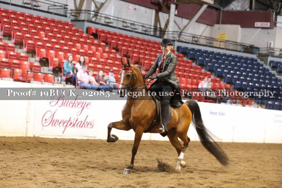 Proof 19BUCK_02085