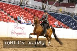 19BUCK_02085 proof