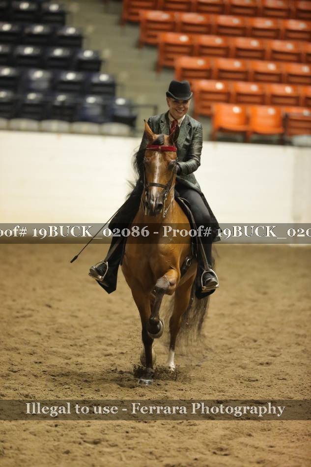 Proof 19BUCK_02086