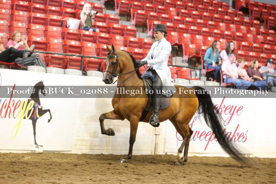 Proof 19BUCK_02088
