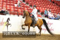 19BUCK_02088 proof