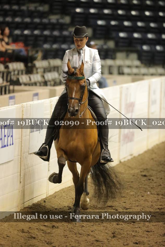 Proof 19BUCK_02090