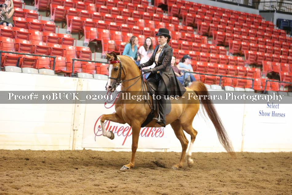Proof 19BUCK_02091