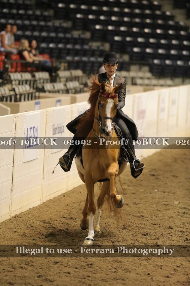 Proof 19BUCK_02092