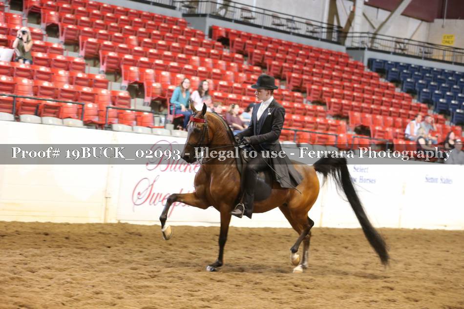Proof 19BUCK_02093