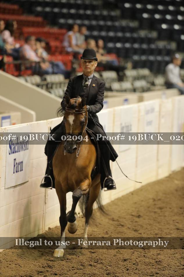 Proof 19BUCK_02094
