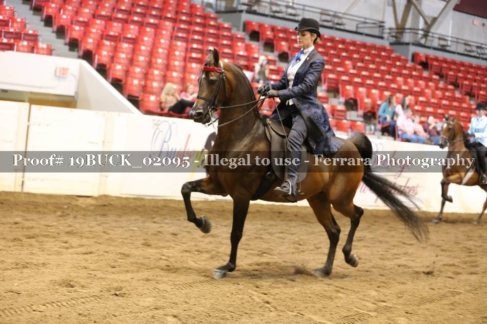 Proof 19BUCK_02095