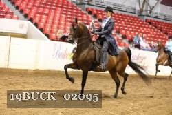 19BUCK_02095 proof