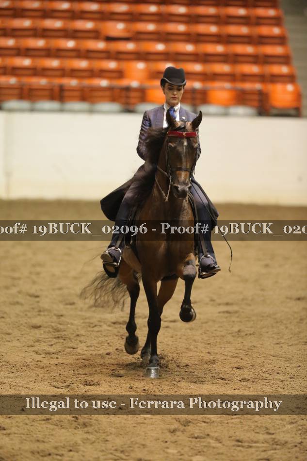 Proof 19BUCK_02096