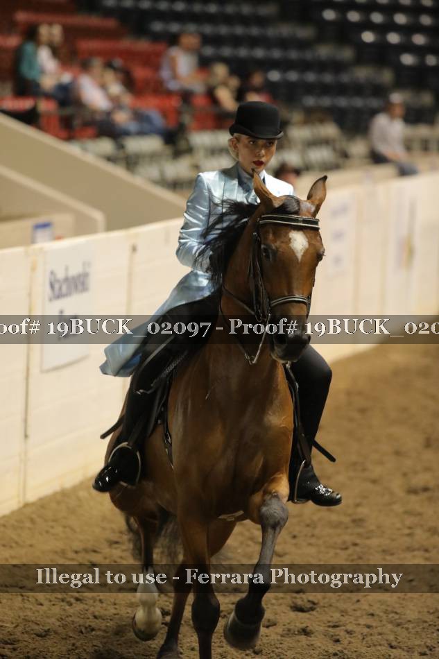 Proof 19BUCK_02097
