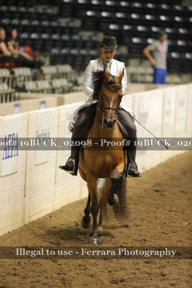 Proof 19BUCK_02098