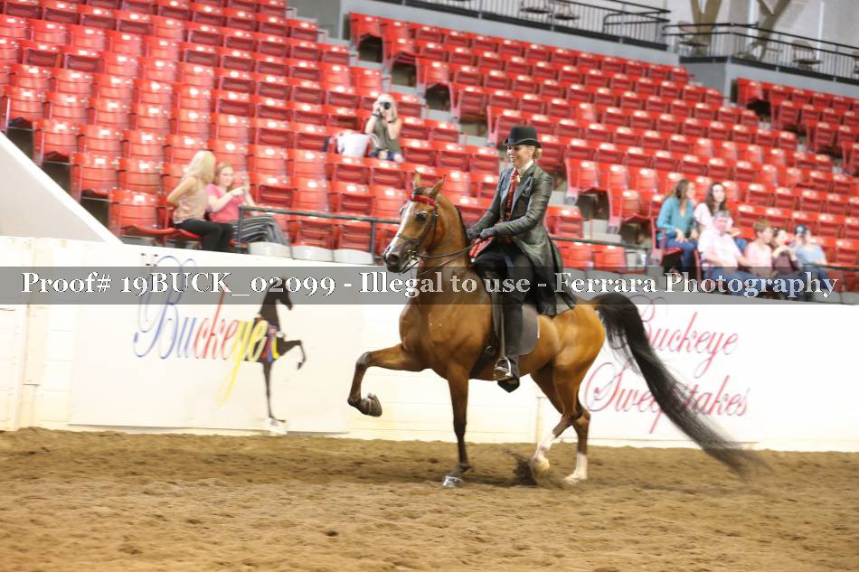 Proof 19BUCK_02099