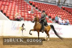 19BUCK_02099 proof