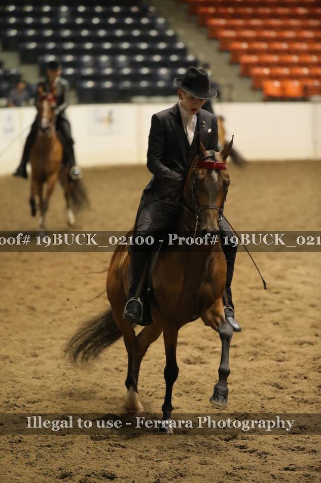 Proof 19BUCK_02100