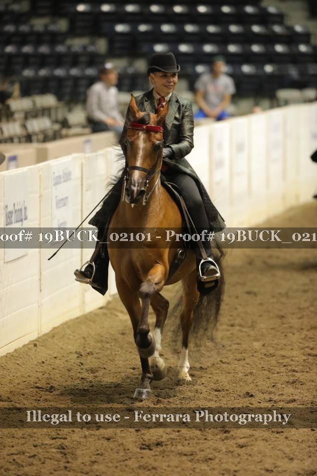 Proof 19BUCK_02101