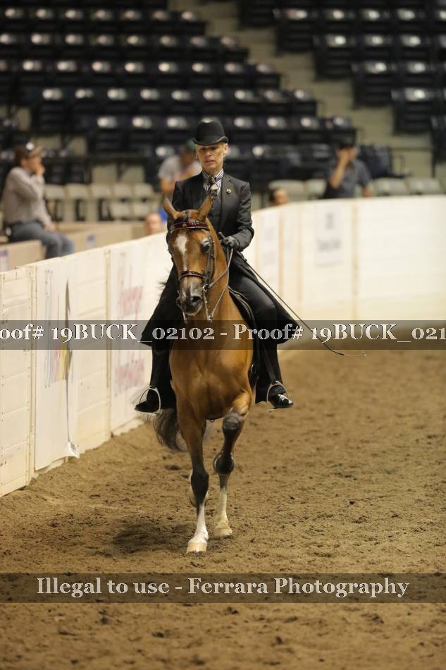 Proof 19BUCK_02102