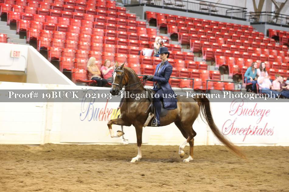 Proof 19BUCK_02103