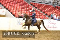 19BUCK_02103 proof