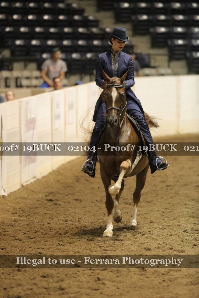 Proof 19BUCK_02104