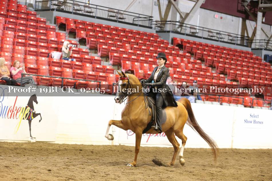 Proof 19BUCK_02105