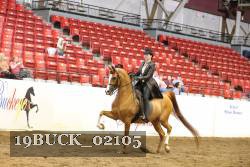 19BUCK_02105 proof