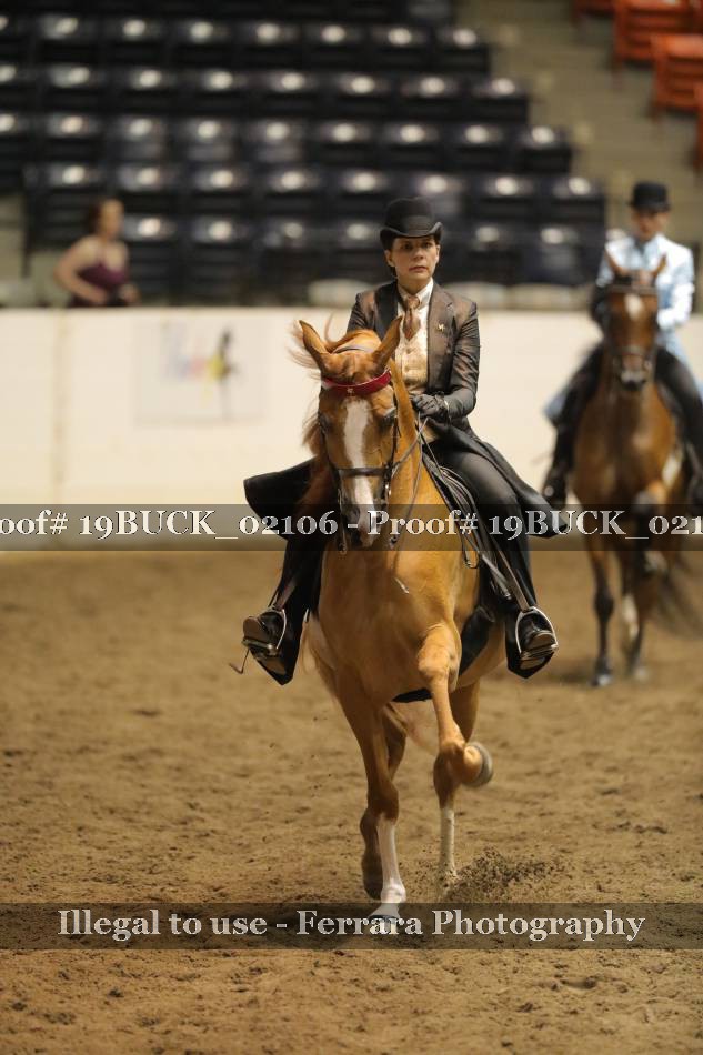 Proof 19BUCK_02106