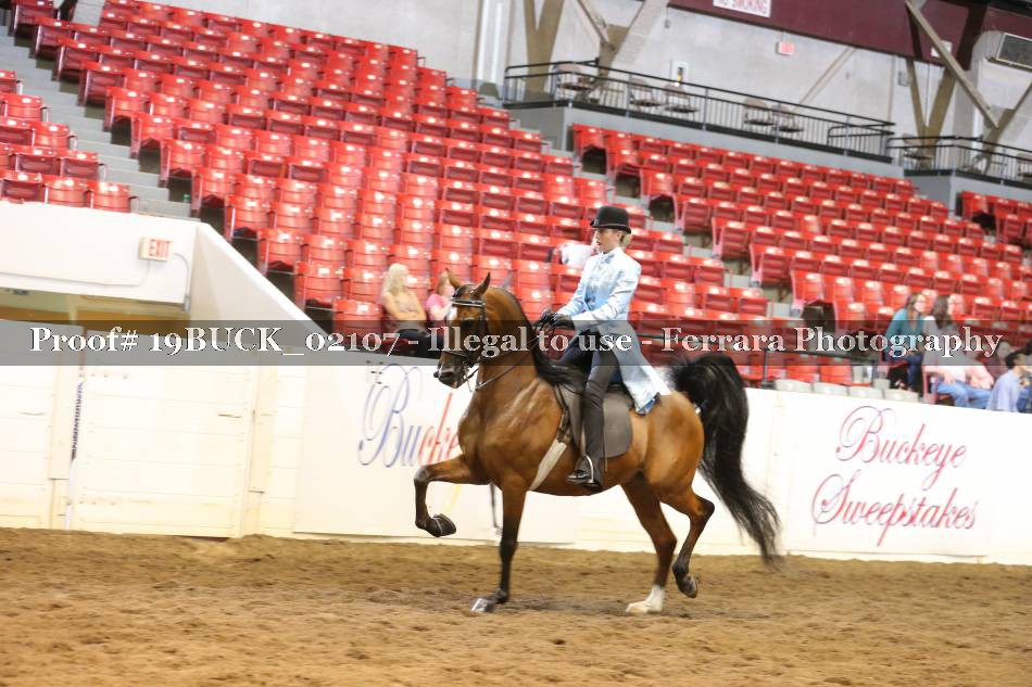 Proof 19BUCK_02107
