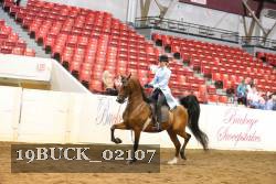 19BUCK_02107 proof