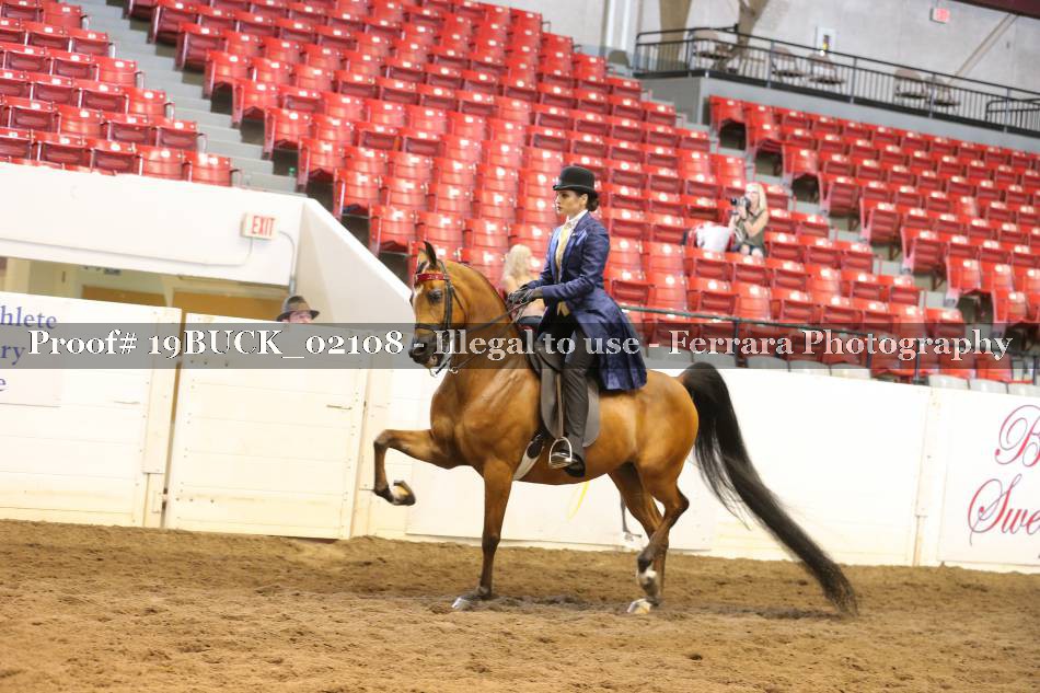 Proof 19BUCK_02108