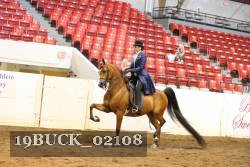 19BUCK_02108 proof