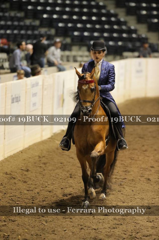 Proof 19BUCK_02109
