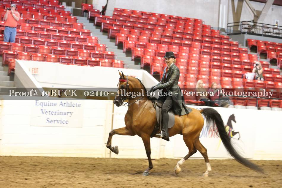 Proof 19BUCK_02110