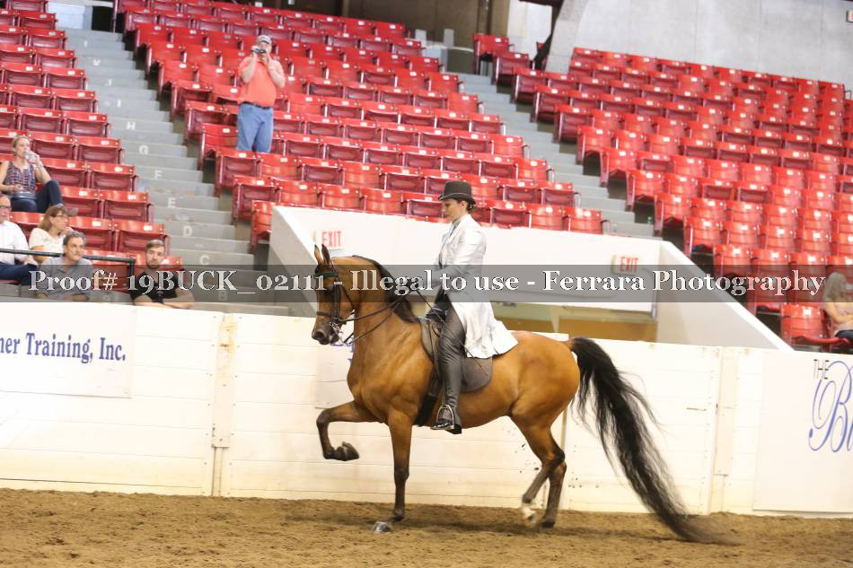Proof 19BUCK_02111