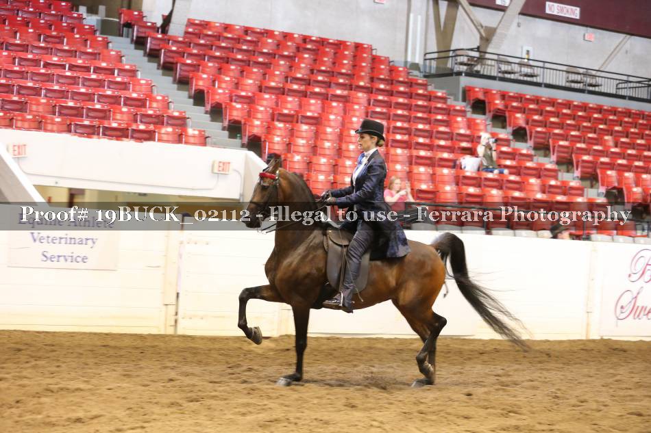 Proof 19BUCK_02112