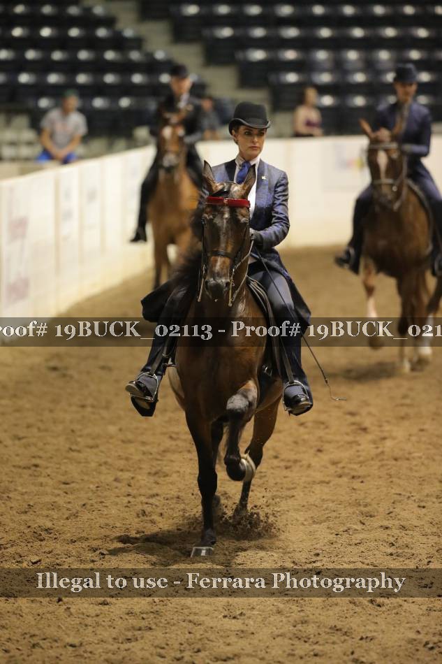 Proof 19BUCK_02113